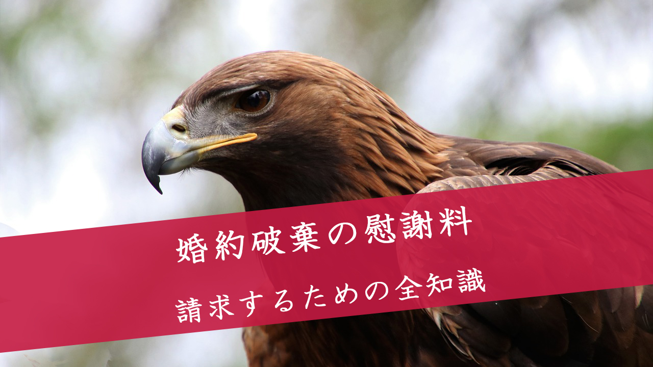 婚約破棄の慰謝料請求をする方法